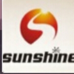 广州碧辉腾乐（UNSUN）软件科技有限公司招聘logo