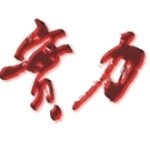 实力利玛塑胶制品（深圳）有限公司logo