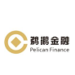 鹈鹕金融信息服务logo