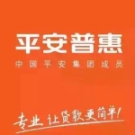 平安普惠投资咨询有限公司佛山岭南分公司招聘logo