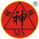 河北镁神科技有限公司logo