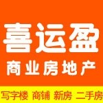 东莞市喜运盈实业投资有限公司logo
