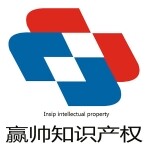 广州赢帅知识产权服务有限公司logo