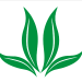 仙苗科技logo