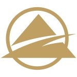 东莞市双威信息科技有限公司logo