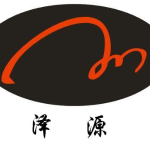 宁波泽源电器有限公司logo