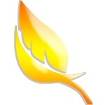 东莞市正能量电子商务科技有限公司logo