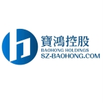 东莞市宝鸿模具有限公司