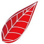 深圳市枫烨广告策划有限公司招聘logo