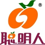 广东聪明人集团有限公司logo