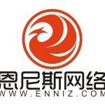 广州恩尼斯网络科技有限公司logo