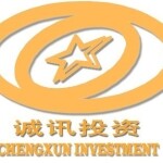 诚讯投资咨询有限公司logo