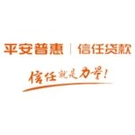平安普惠投资咨询有限公司东莞东城东纵路分公司logo