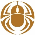 金蜘蛛信息科技招聘logo