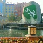 郴州小埠浩元房地产开发有限公司
