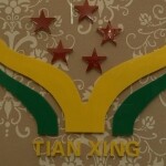 东莞市天星装饰设计工程有限公司logo