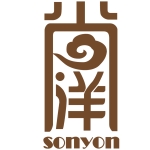 广东尚洋文旅科技发展有限责任公司招聘logo