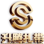 东莞市升腾塑胶制品有限公司logo