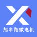 东莞市旭丰翔微电机有限公司