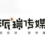 东莞市派瑞文化传媒有限公司logo