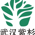 武汉市紫杉科技有限公司招聘logo