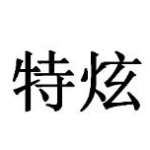 特炫汽车用品专营店logo
