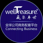 广州威尔卓世商务咨询有限公司logo