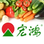 珠海新宏鸿农产品有限公司招聘logo