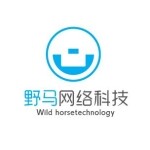 野马网络logo