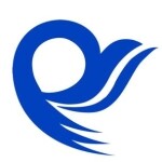 东莞市品扬精密模具有限公司logo
