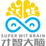 武汉市紫衫科技有限公司logo