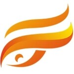 武汉鑫佰特科技有限公司logo