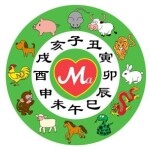 东莞市麦翠儿玩具服饰有限公司logo