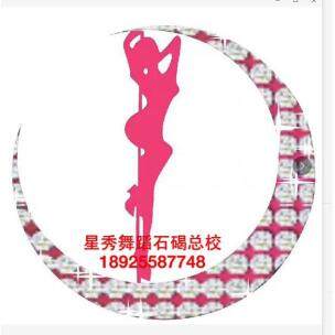 东莞市石碣星秀舞蹈培训中心logo