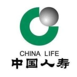中国人寿保险新会分公司招聘logo