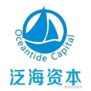 郴州泛海管理咨询有限公司logo