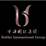 博导电子科技logo