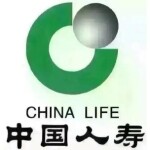 中国人寿保险股份有限公司宁远支公司