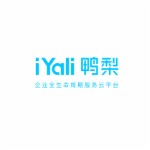 佛山鸭梨信息咨询有限公司招聘logo