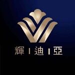 辉迪亚电子科技招聘logo