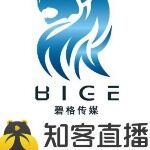 杭州碧格文化传媒有限公司logo