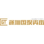 深圳国投资本管理有限公司招聘logo