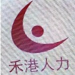 广州禾港人力资源管理有限公司logo