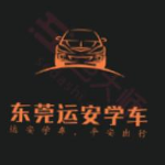 东莞市运安陪驾有限公司logo