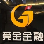 东莞市莞金信息咨询有限公司logo