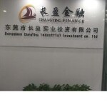 东莞市长盈信息咨询有限公司logo