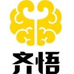 绍兴市齐悟网络科技有限logo