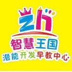 智慧王国培训中心招聘logo