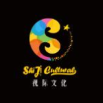 广州视际文化传播有限公司logo