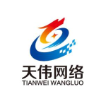 东莞市天伟网络有限公司logo